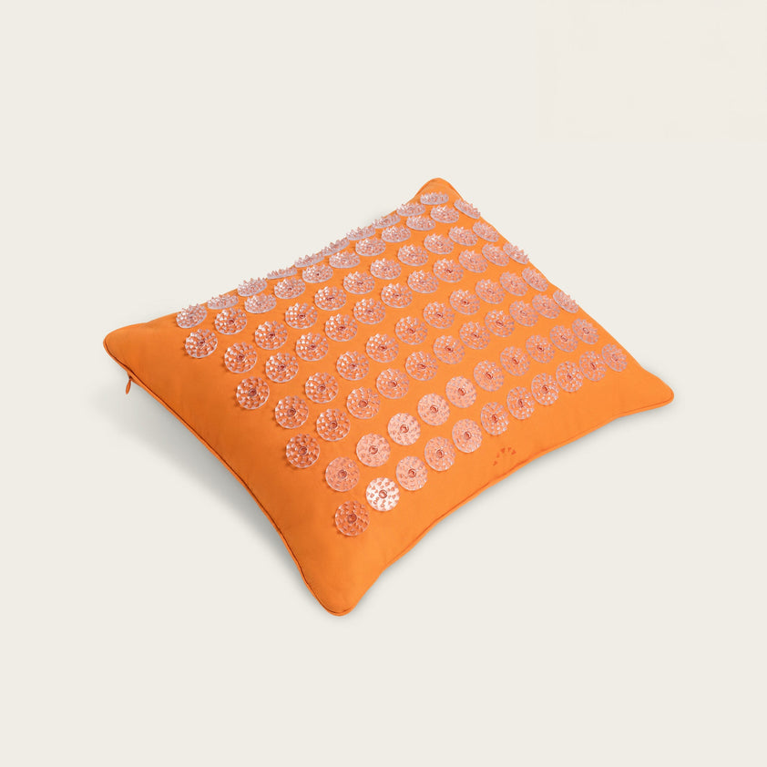 Level 2+Amber