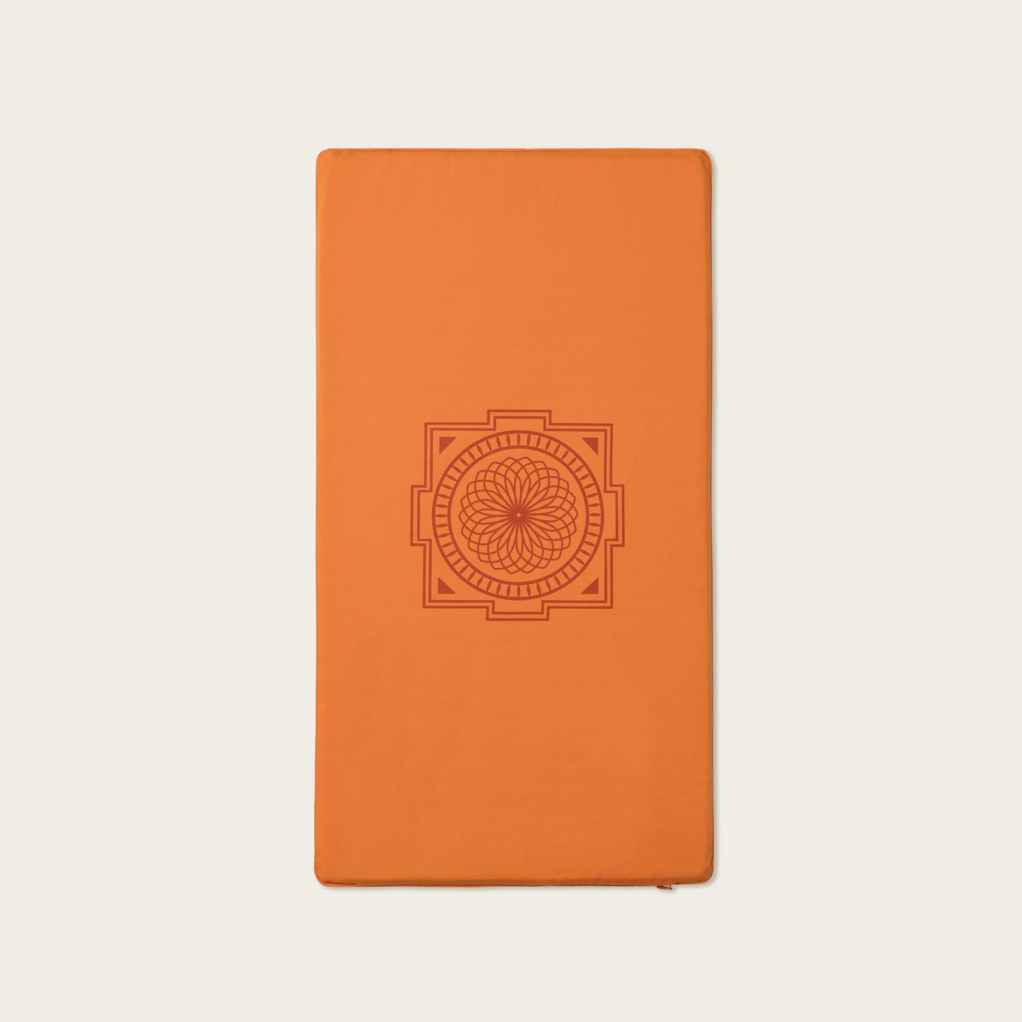 Level 2+Amber
